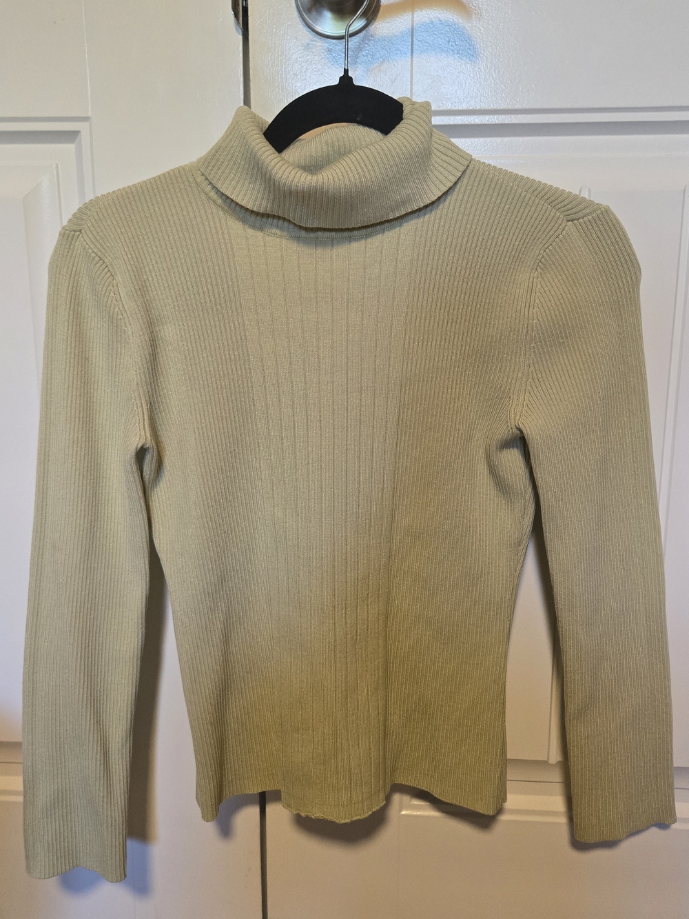New York & Company Ribbed Turtleneck Sweater - Light Green